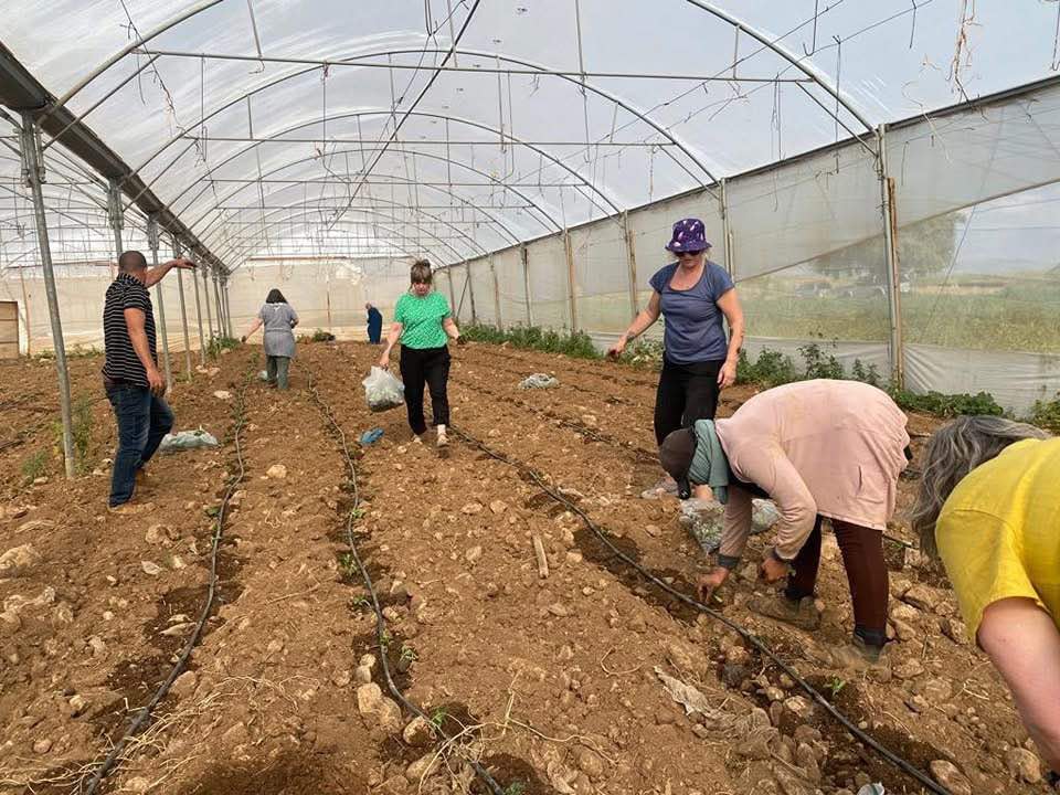 Small Co-operative Initiatives
