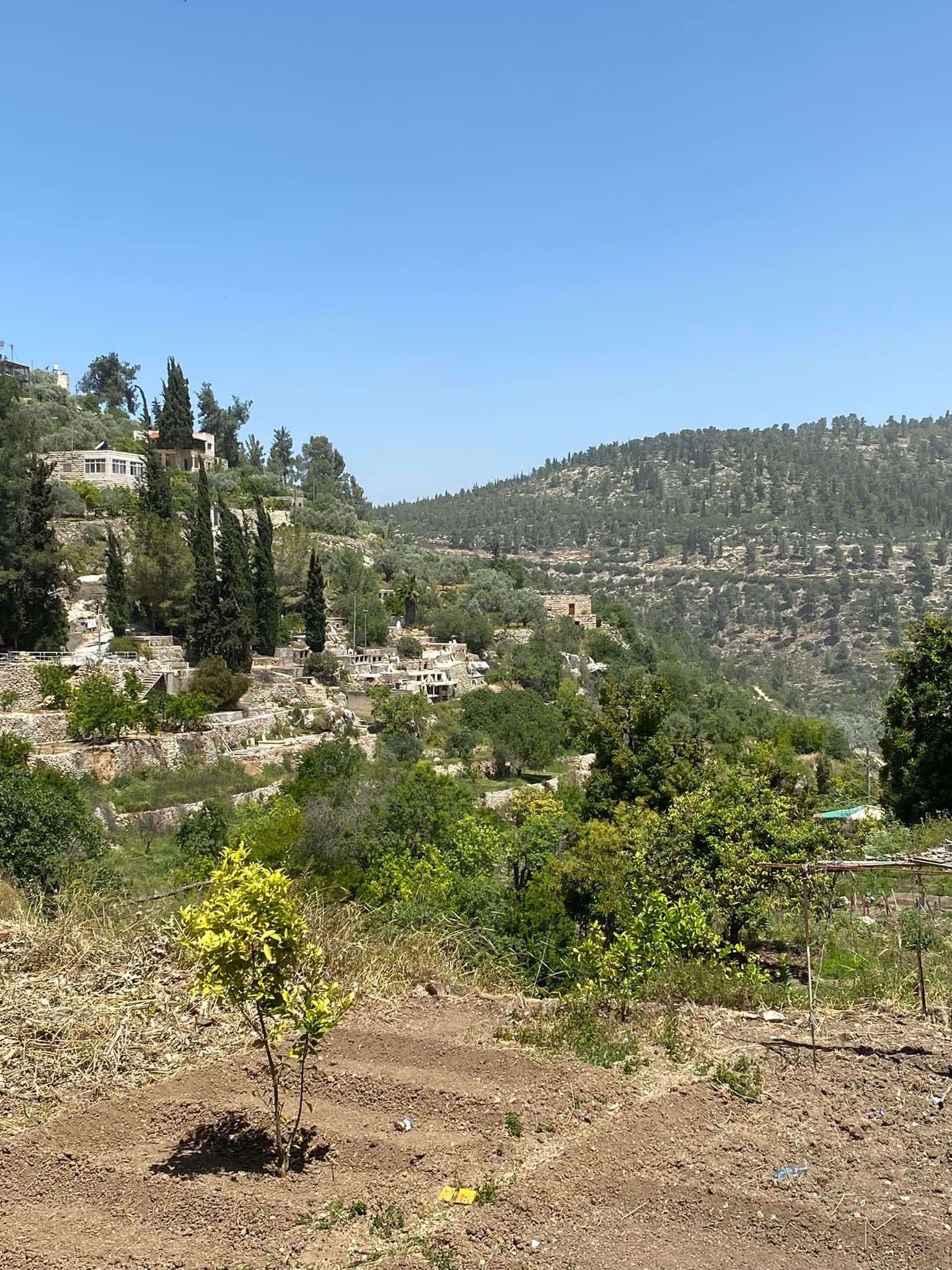 Agriculture Projects